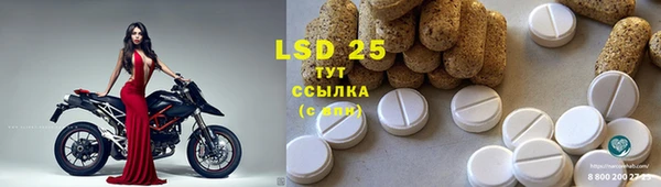 ПСИЛОЦИБИНОВЫЕ ГРИБЫ Краснотурьинск