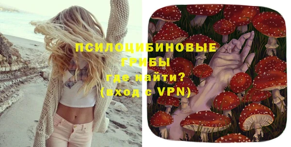 ПСИЛОЦИБИНОВЫЕ ГРИБЫ Краснотурьинск